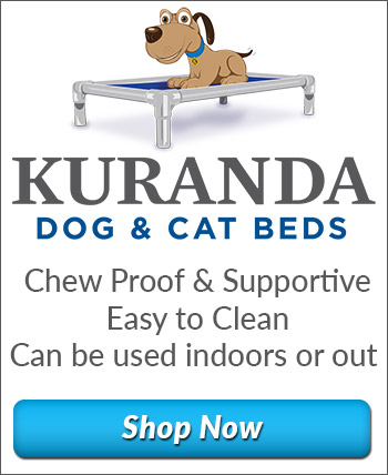 Kuranda Dog and Cat Beds - Chew Proof and Supportive - Easy to Clean - Can be used indoors or out - Shop Now